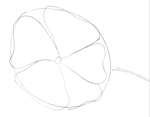 <p>Michael Kleine, In der Blumenhalle (En el salón de las flores), 2024&nbsp;</p>