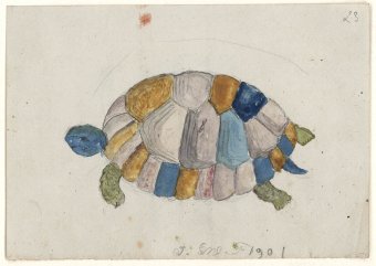 Untitled (Turtle)