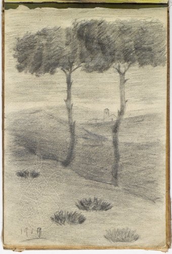Landscape with pine trees