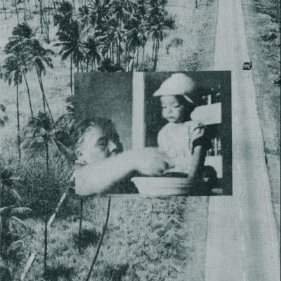 Seeds of futurity: In the Shadow of Gaza