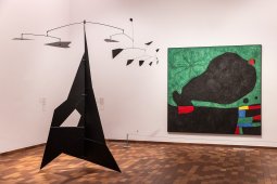 <p>Exposició <em>Miró i els Estats Units</em>, comissariada per Marko Daniel, Matthew Gale i Dolors Rodriguez Roig. © Fundació Joan Miró. Fotos: Davide Camesasca</p>