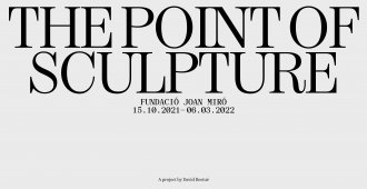 The Point of Sculpture