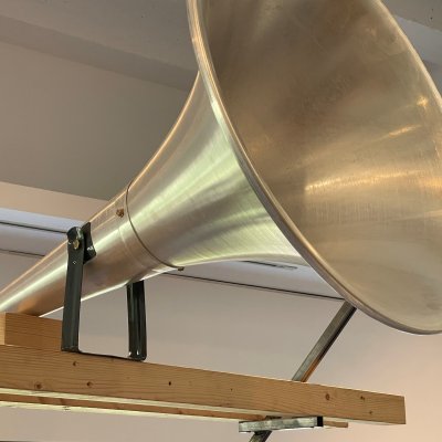 Tu voz te protegerá