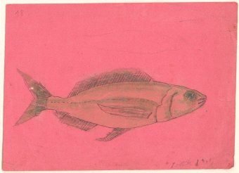 Untitled (Fish)