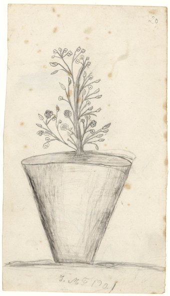 Untitled (Flowerpot)