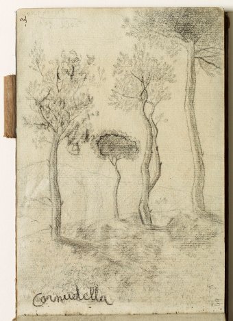 Cornudella. Landscape with trees