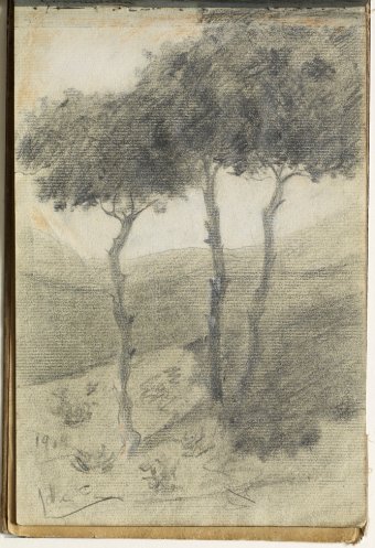 Landscape with trees