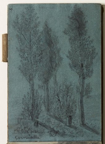 Cornudella. Landscape with trees