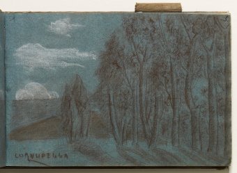 Cornudella. Landscape with trees