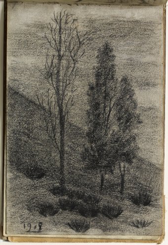 Landscape with trees