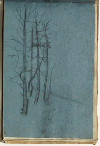 Sketch of trees