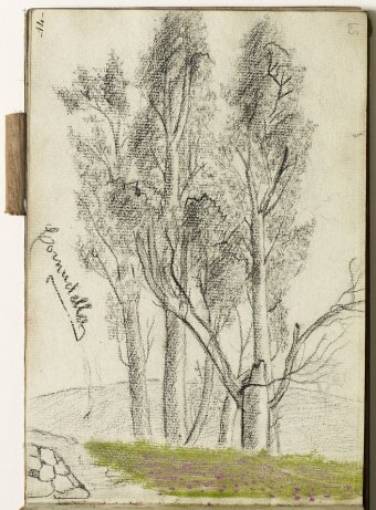 Cornudella. Landscape with trees