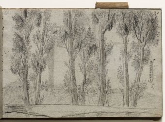 Cornudella. Landscape with trees