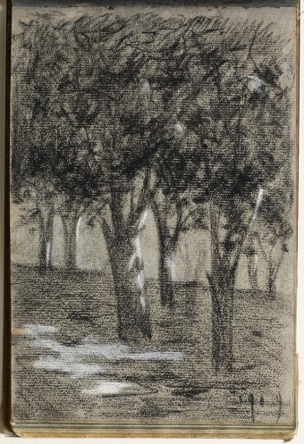 Landscape with trees