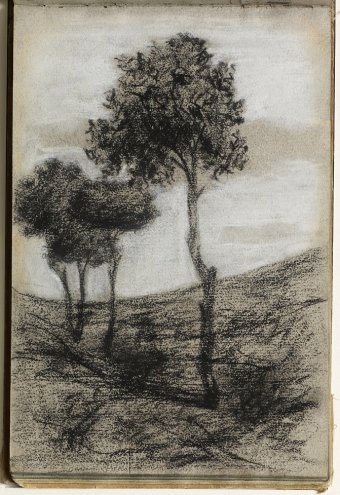 Landscape with trees