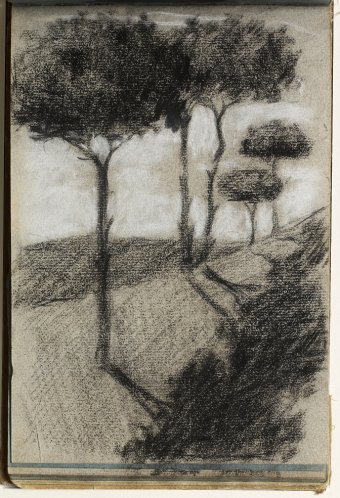 Landscape with trees