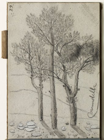 Cornudella. Landscape with trees