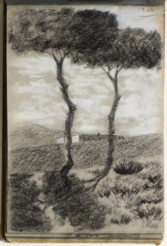 Landscape with trees