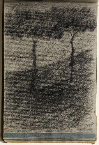 Landscape with trees