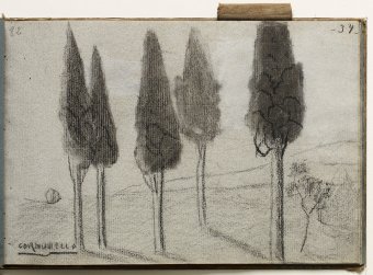 Cornudella. Landscape with cypresses