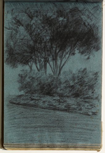 Landscape with trees