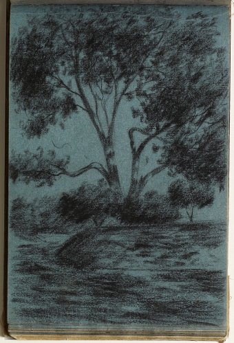 Landscape with trees