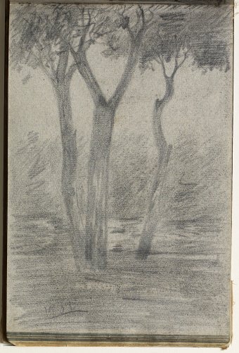 Landscape with trees