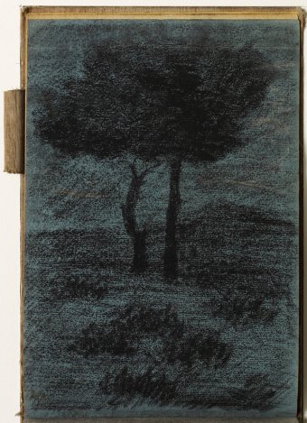 Landscape with trees