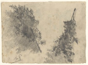 Untitled (Study of branches with leaves)