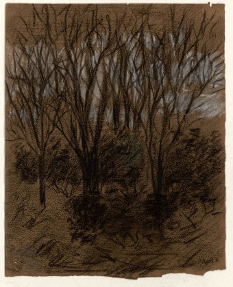 Untitled (Trees)