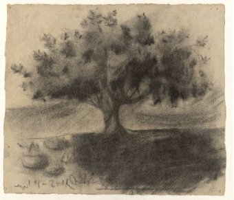 Untitled (Tree)