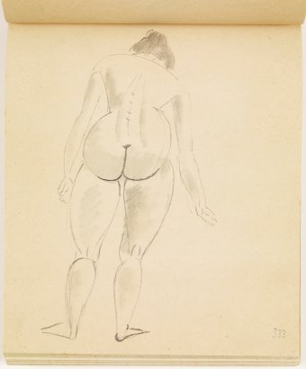 Estudio de desnudo