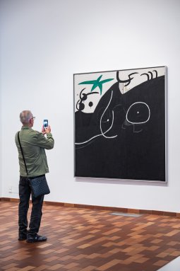 <p>Presentación de la Colección Joan Miró. Fundació Joan Miró, Barcelona. Fotografía de Pep Herrero.</p>