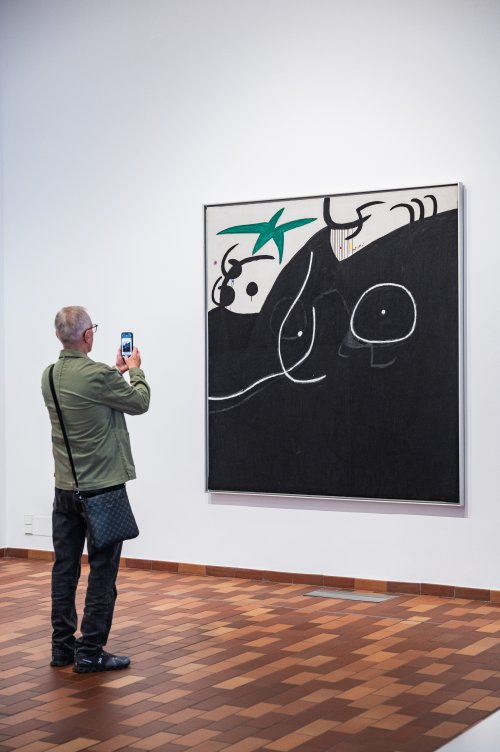 <p>Presentation of the Joan Miró Collection. Fundació Joan Miró, Barcelona. Photography by Pep Herrero.</p>