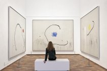 Joan Miró. Collection