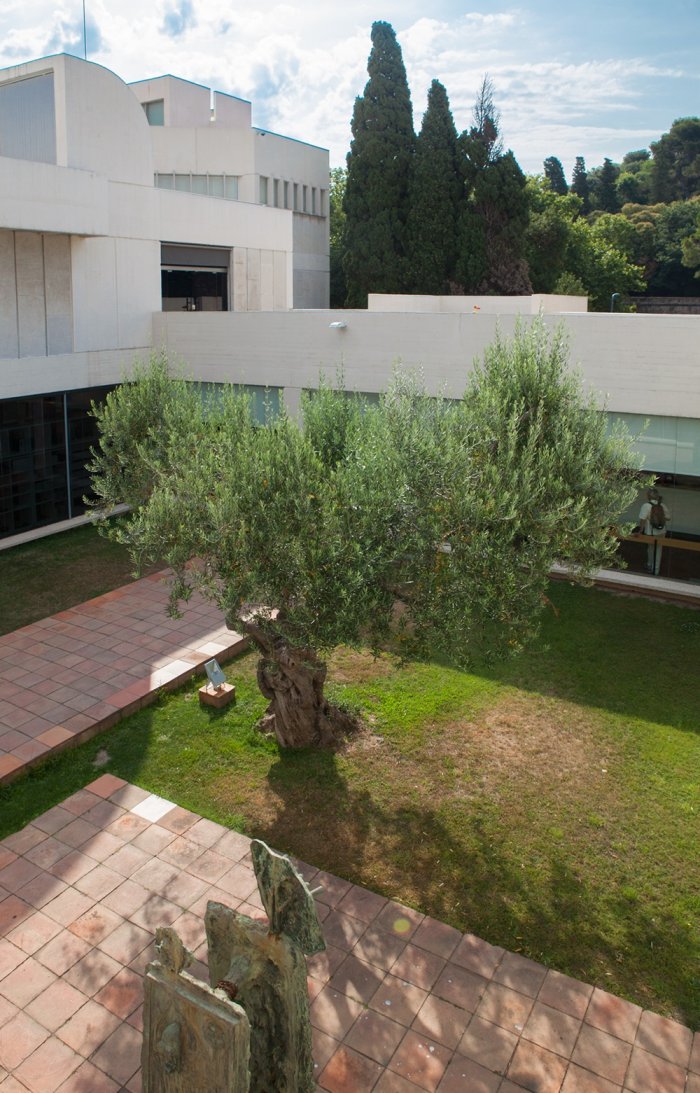 Fundació Joan Miró. Patio del Olivo