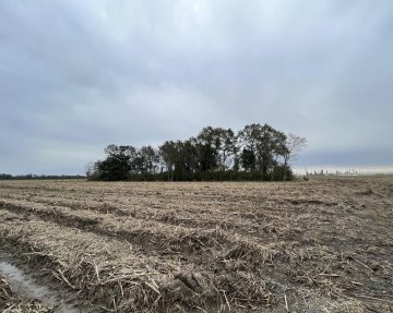 Houmas Plantation Cemetery. Fotografía d'Imani Jacqueline Brown