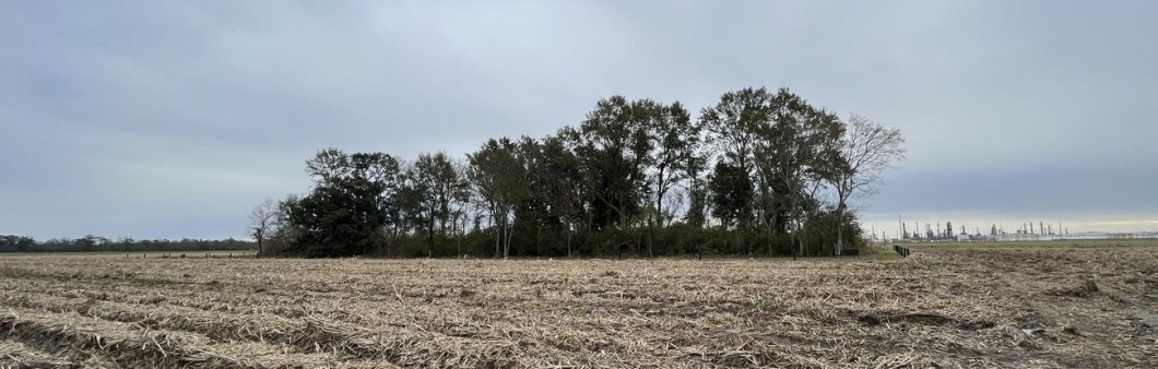 Imani Jacqueline Brown, "Forest islands of our ecological diaspora"
