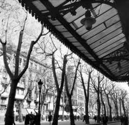 <p>Joaquim Gomis. Entrance marquee of the Liceu in Barcelona, July 1947. Joaquim Gomis archive, deposited at the Catalan National Archive © Hereus de Joaquim Gomis, 2023. Fundació Joan Miró, Barcelona.</p>