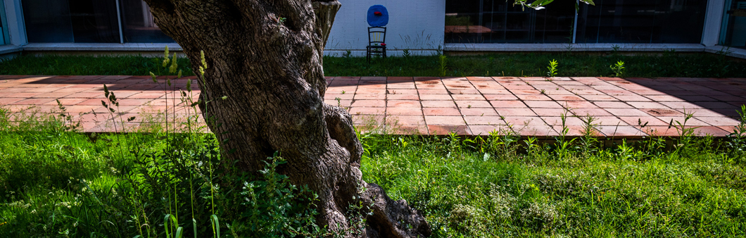 © Fundació Joan Miró. Foto: Pep Herrero
