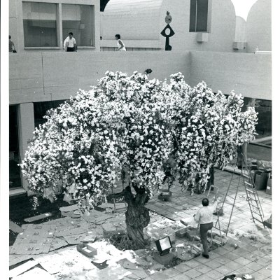 Reencarnacions VI: Festejar. Antoni Miralda, encarnat per M0nster.L4b