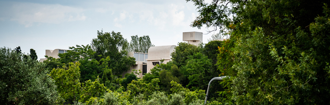 © Fundació Joan Miró. Foto: Pep Herrero