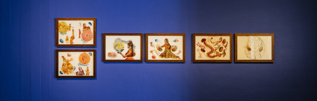 Nalini Malani, Escuchar las sombras, 2007 © Fundació Joan Miró. Foto: Tanit Plana