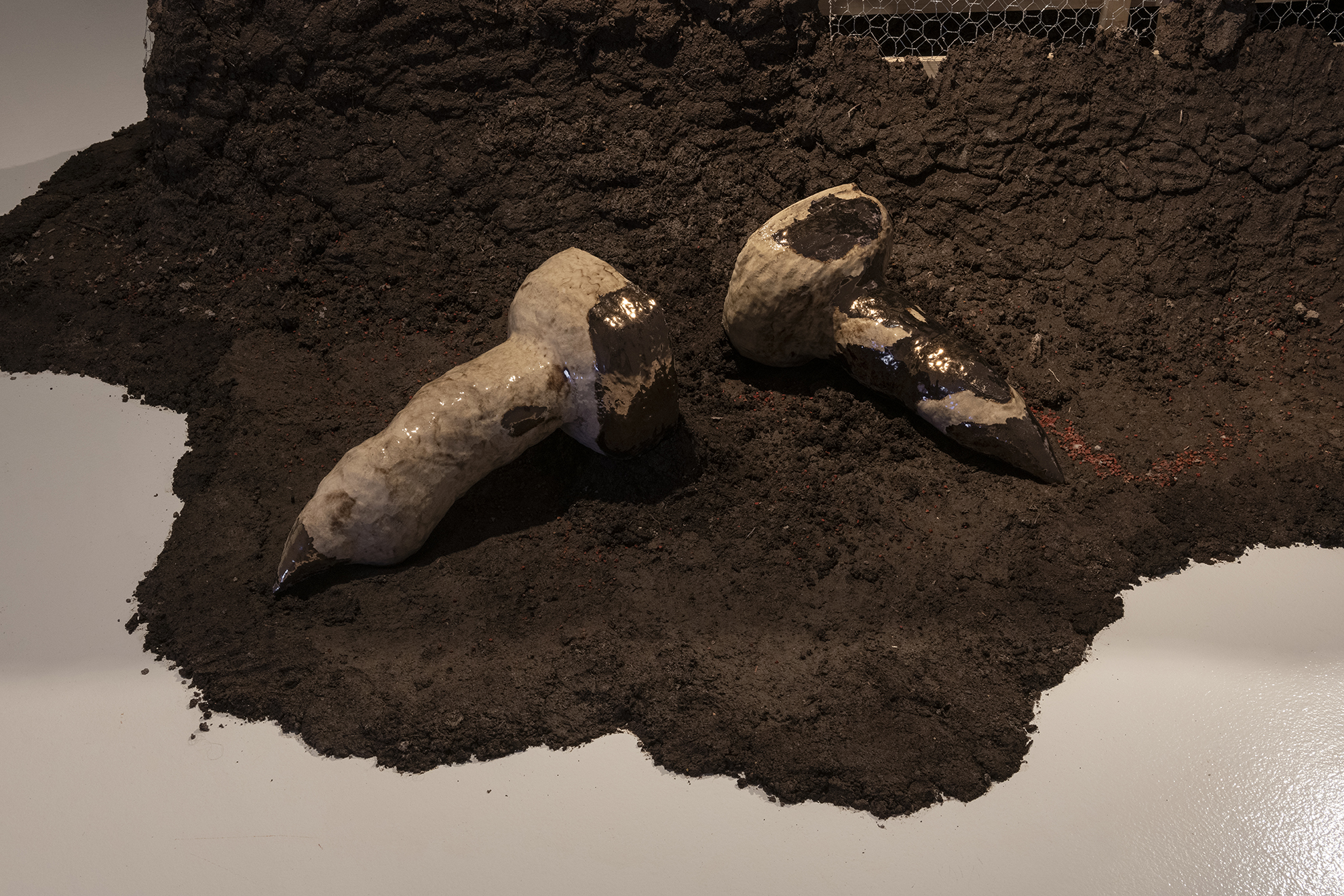 Detall de l&rsquo;exposició El terratrèmol està intacte, de Jota Mombaça i Iki Yos Piña Narváez Funes. © Fundació Joan Miró. Foto: Roberto Ruiz.
