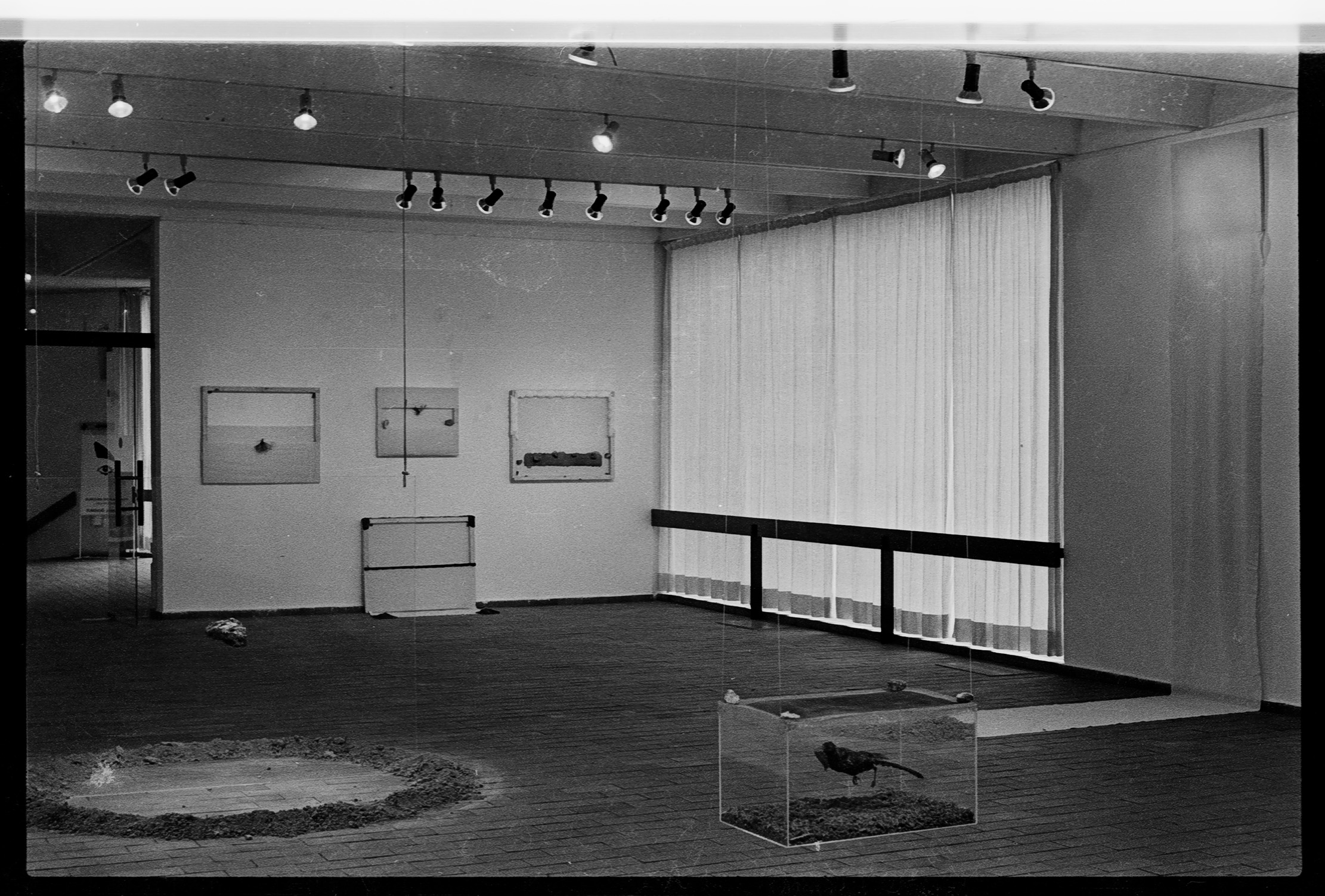 Fina Miralles, exposició <em>Paisatge</em> (del 10 al 28 de gener de 1979).&nbsp;Cortesia de Fina Miralles.
