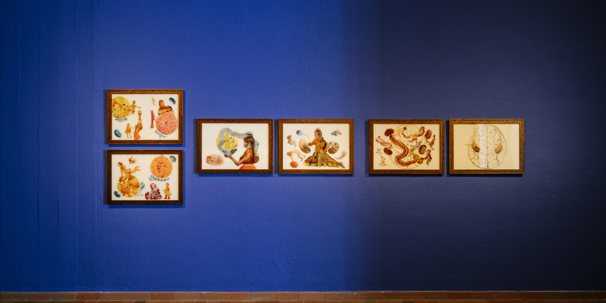 Nalini Malani, Listening to the Shades, 2007&nbsp;© Fundació Joan Miró. Photo: Tanit Plana

