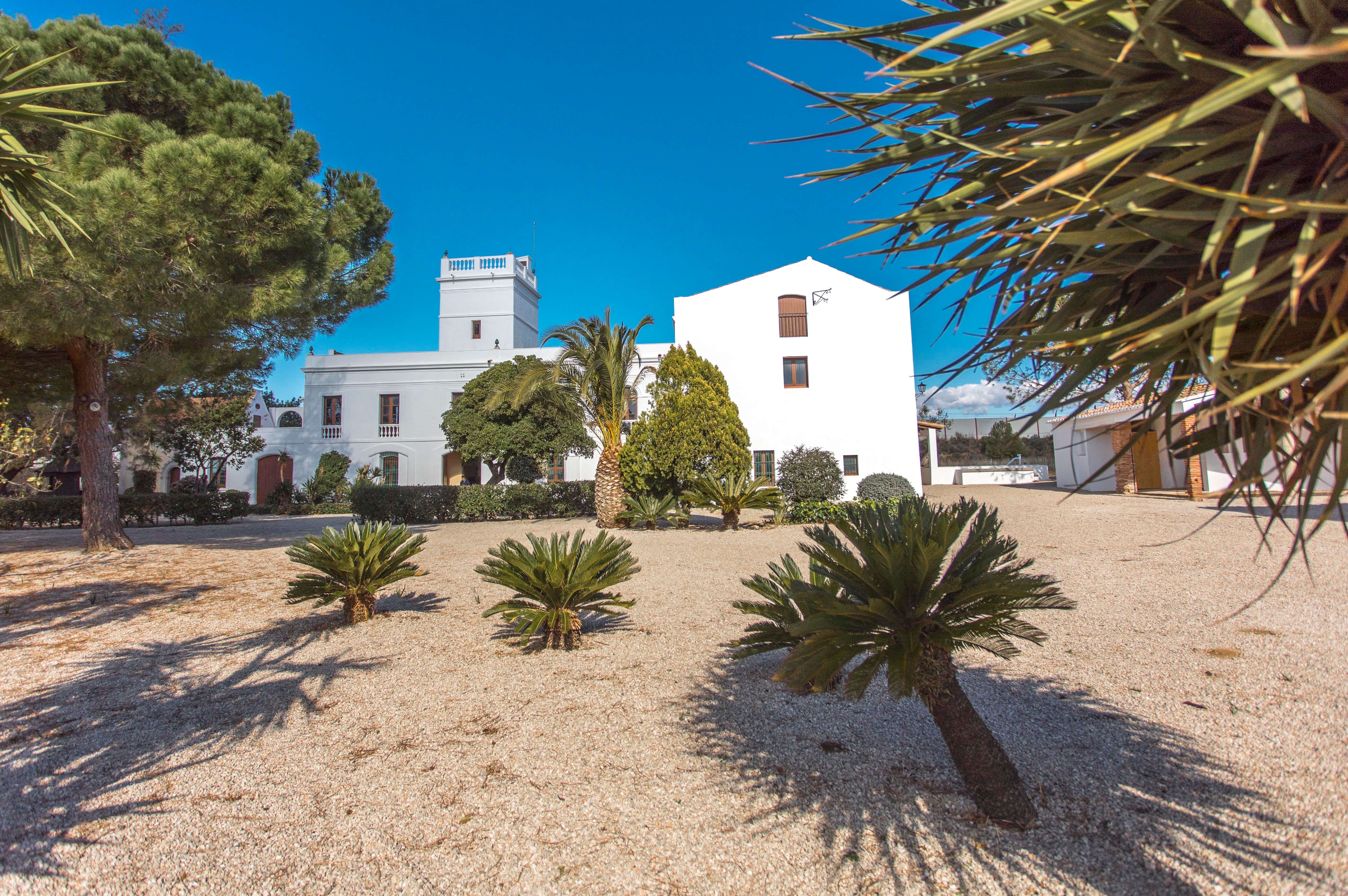 Fundació Mas Miró